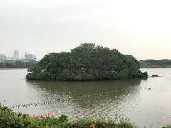 -海珠湖公园