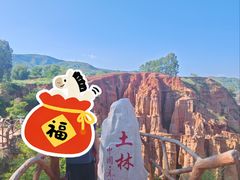 -元谋土林景区(物茂土林)