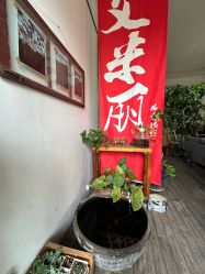 -艾米丽儿童摄影