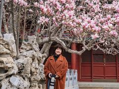 -潭柘寺景区