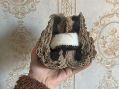 -奈雪的茶(大连新玛特店)
