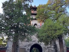 -颐和园
