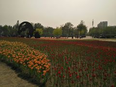 -廊坊文化艺术中心