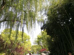 -昆山城市生态森林公园