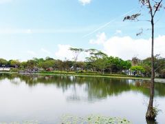 -顺峰山公园
