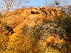 -紫金山山顶公园