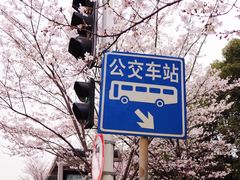 -华中科技大学光谷体育馆