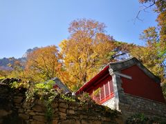 -北京上方山国家森林公园