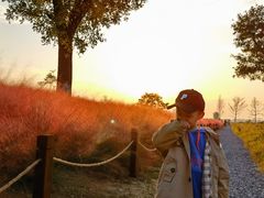 -汉长安城未央宫国家考古遗址公园