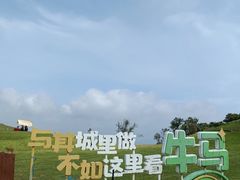-大姆山草场