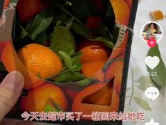 -约翰·菲茨杰拉德·肯尼迪国际机场