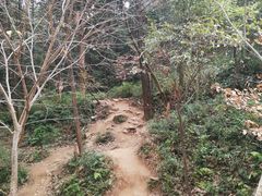 -灵岩山风景区