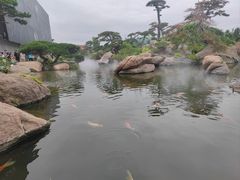 -罗红摄影艺术馆