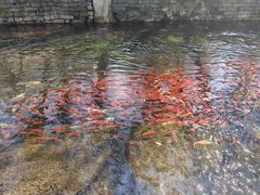 -水磨沟公园