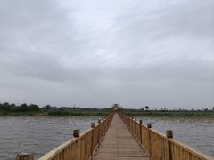 -哈素海