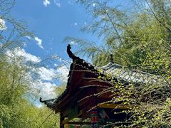 -卡定沟景区