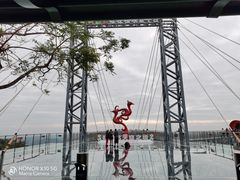 -呀诺达热带雨林