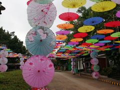 -观澜湖生态运动公社