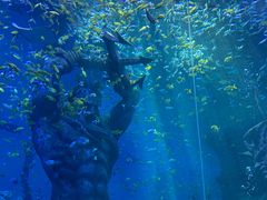 -波塞冬旅游度假区