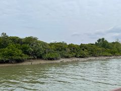 -东寨港红树林旅游区