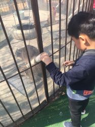 -萌宠亲子动物乐园(槐房万达店)