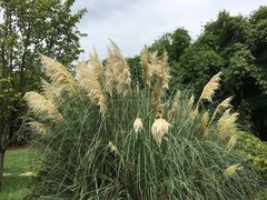 -贵阳市花溪国家城市湿地公园