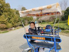 -上海海湾国家森林公园