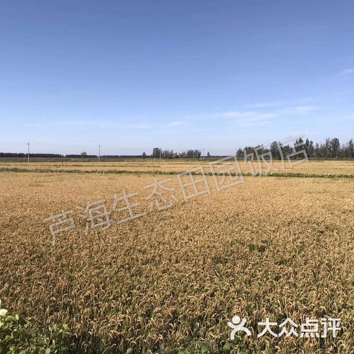 大洼区新兴镇芦海生态田园饭店