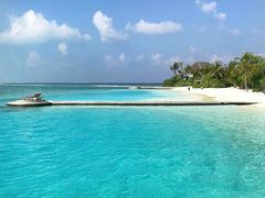 -全家便利店(槐树巷店)