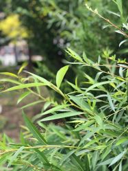 -天津市儿童医院(北辰龙岩院区)