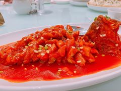 -新吉士·上海菜(浦东LCM置汇旭辉店)