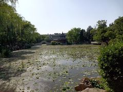 -莲池书院博物馆