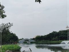 -映月湖公园