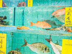 -有腥气私房菜·寻味顺德