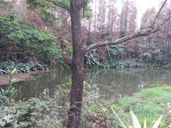 -荔香公园