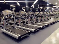 -金吉鸟健身游泳