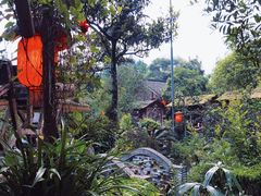 -青城甲(青城山店)