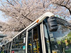 -上海南浦大桥长途旅游客运站