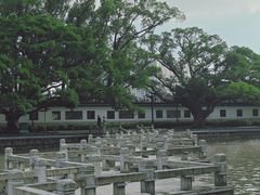 -江心屿景区