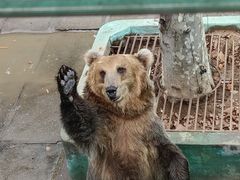 -西霞口神雕山野生动物世界