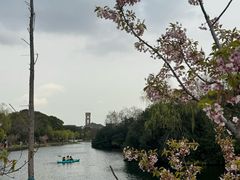 -新江湾城公园