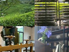 -普洱太阳河森林公园