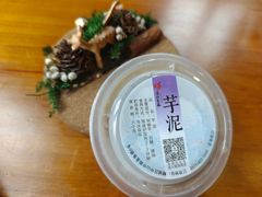 -海丝金凤(金鱼店)