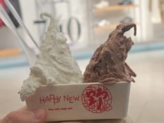 -野人先生Gelato(上海长宁龙之梦店)