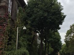 -半岛公馆(淞兴西路店)