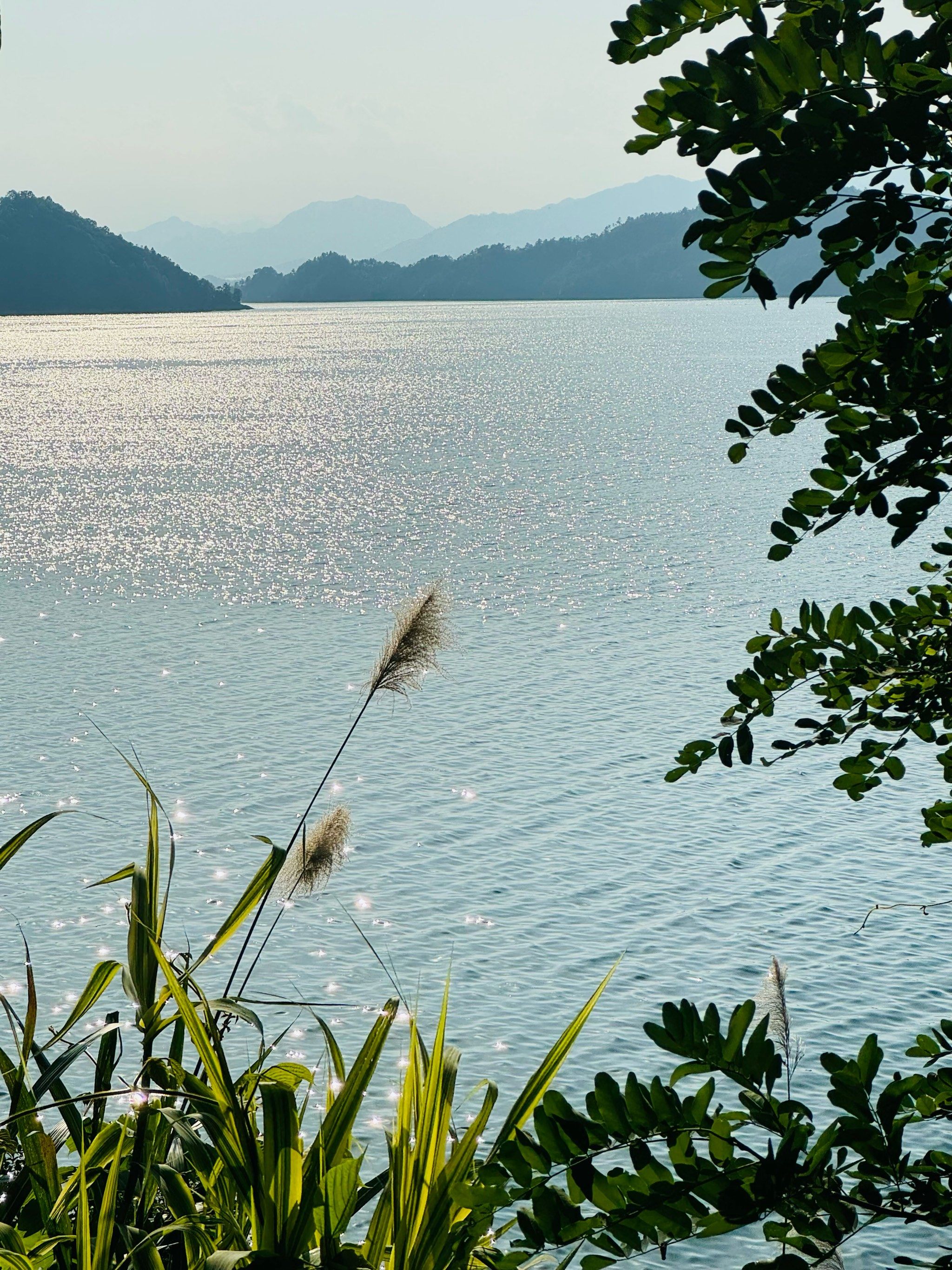 千岛湖已经美到next level