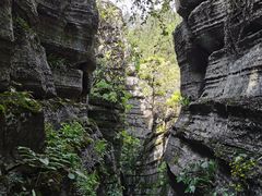 -梭布垭石林景区
