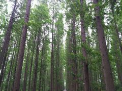 android_upload_pic-上海怡沁园度假酒店