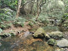 -佛山市三水区大南山森林公园