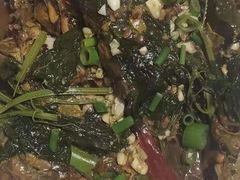 -庆岭迎宾园正宗活鱼馆